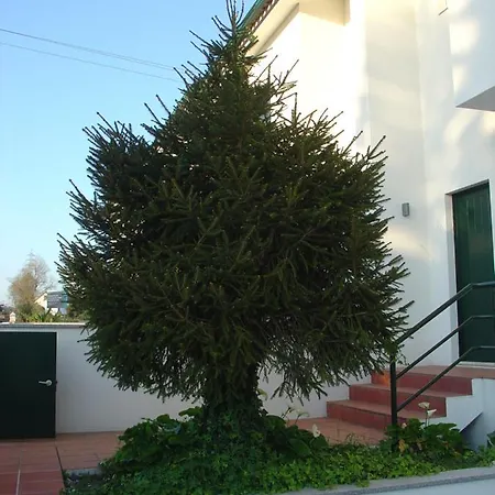 Casa De Palmeira Esposende